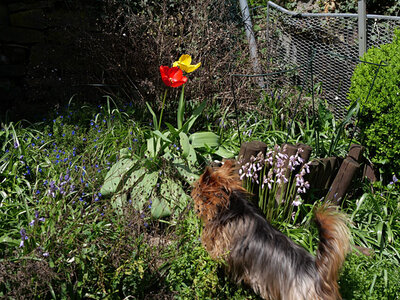 garten05.JPG