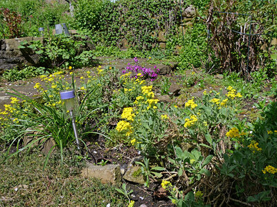 garten13.JPG