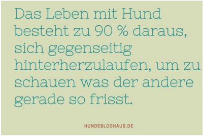leben mit hund.PNG
