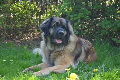 DSC_0334.JPG (10.76 MiB) 3708 mal betrachtet DSC_0334.JPG