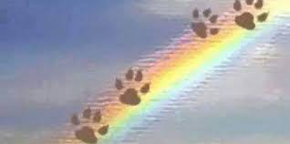 regenbogen.jpg