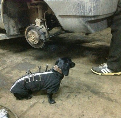 dackelhilfe.jpg (95.32 KiB) 3681 mal betrachtet dackelhilfe.jpg