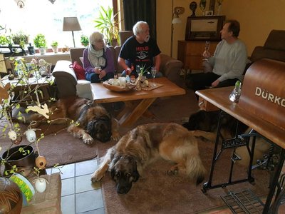 Jedich, 18.04.17.jpg (97.12 KiB) 3609 mal betrachtet Jedich, 18.04.17.jpg